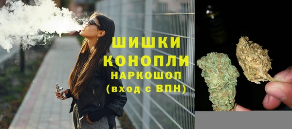 соль ск Козловка