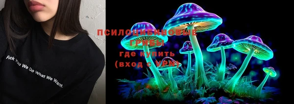 таблы Кодинск