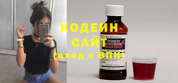соль ск Козловка