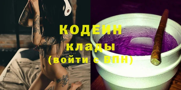 соль ск Козловка